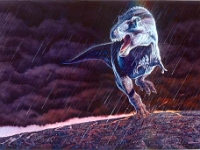 Storm Front